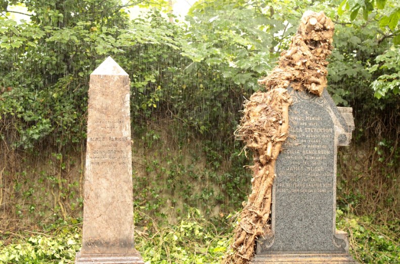 Downpour in the 'Secret Garden'.