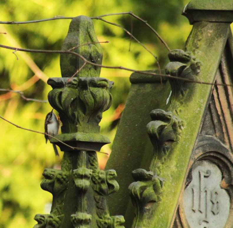 16387852_10154572053528025_675910391666157628_n