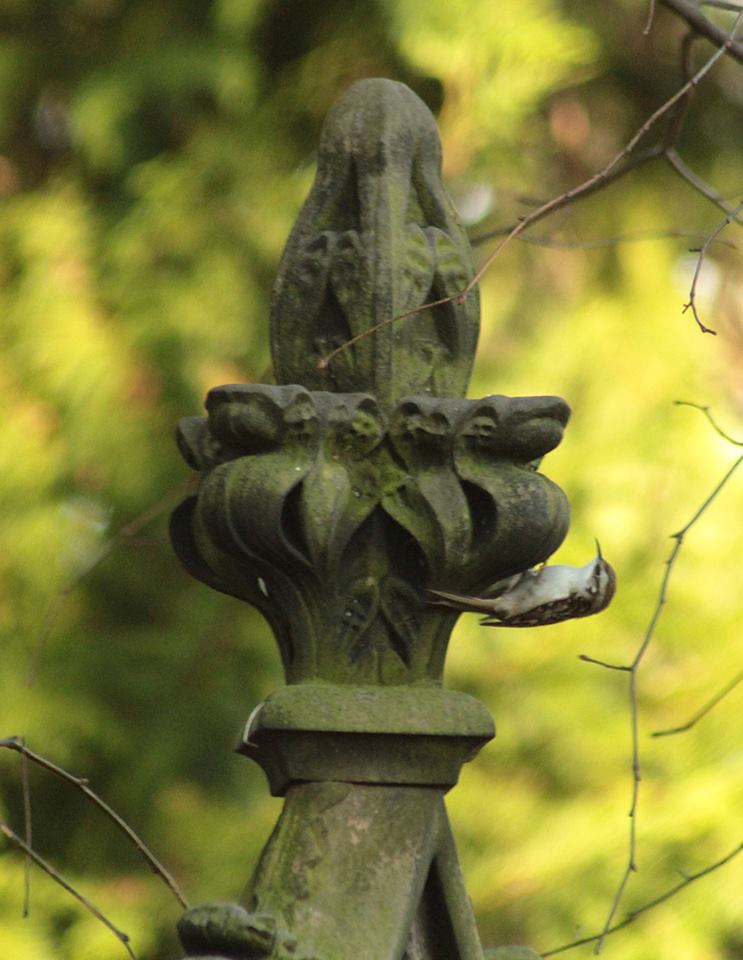 16427437_10154572053593025_3137638340595860900_n