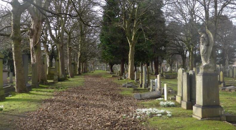 16830992_1423311411021949_4409518484450655331_n