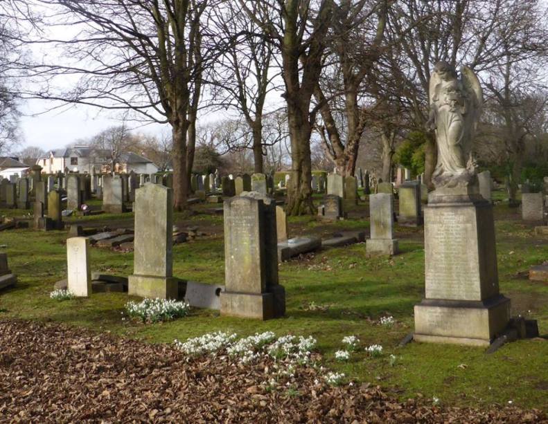 16831028_1423311571021933_4620007160050795392_n