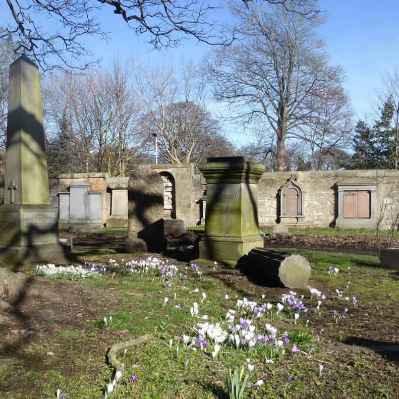 16938681_1430234970329593_8317427330505366654_n