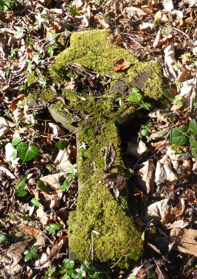 16996120_1430351293651294_8196229150181455028_n