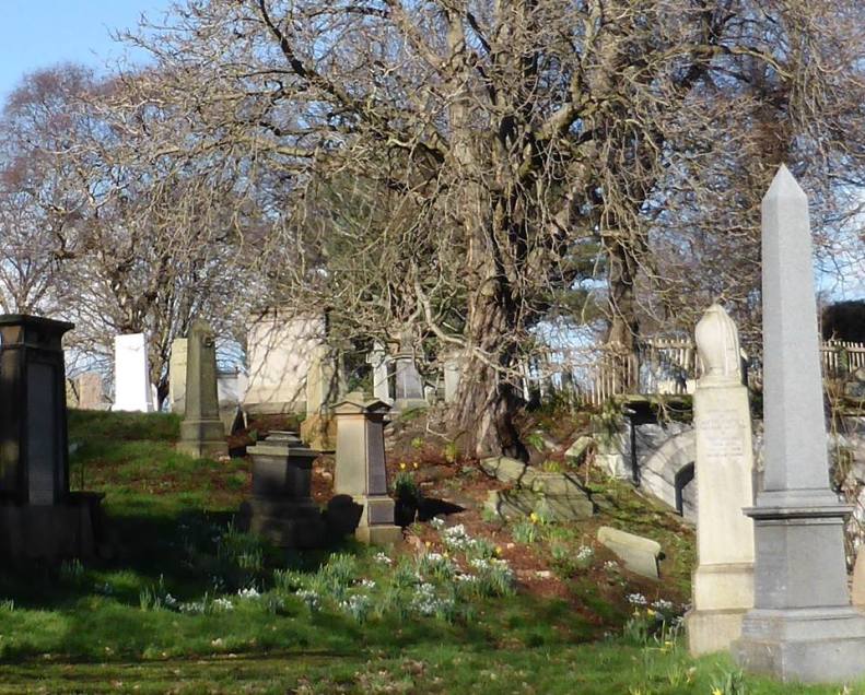 16998687_1430347606984996_8307744837553185722_n