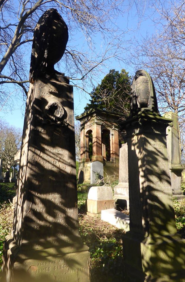 17016963_1430246306995126_1850628072065778048_o