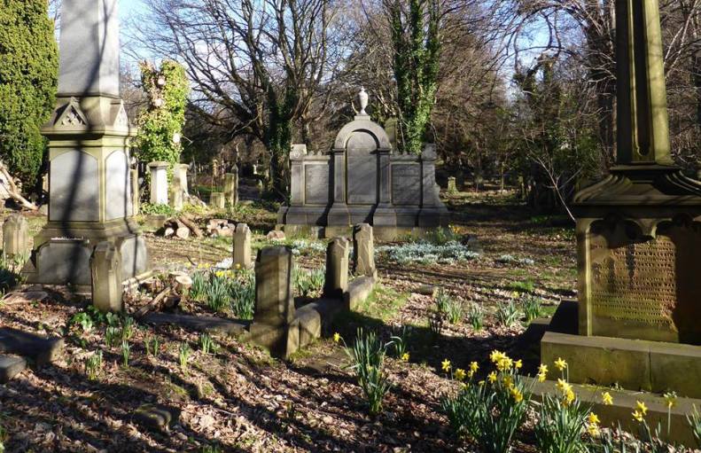 17022031_1430237036996053_5395087806826234672_n