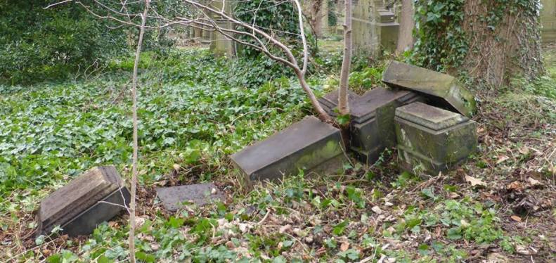 17103789_1443348995684857_6629400472047574868_n