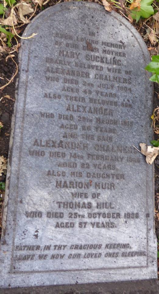 17200945_1445408898812200_6898104158513969760_n