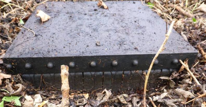 17203164_1443348612351562_7252579073669448924_n