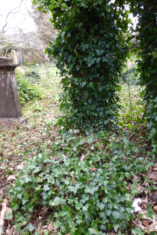 17309311_1445408505478906_3792497478092961217_n