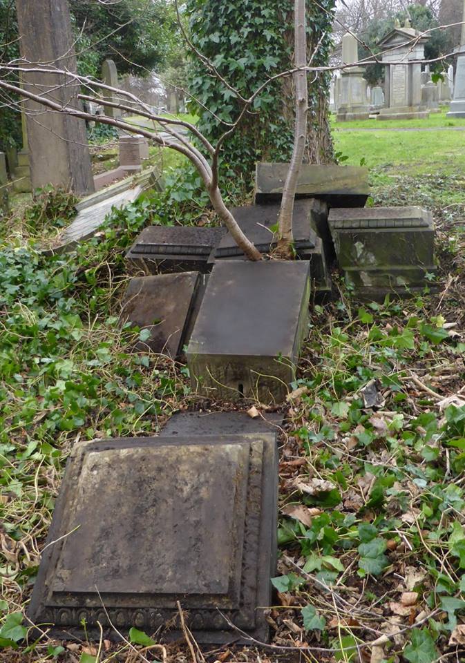 17309795_1443347999018290_7529338228159769967_n