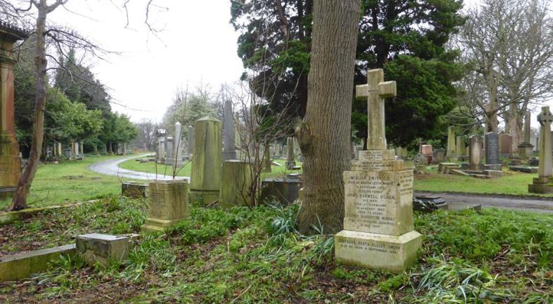 17353558_1452863948066695_3300876668056836848_n