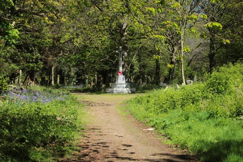 18199032_10154852086393025_2753516600225839346_n