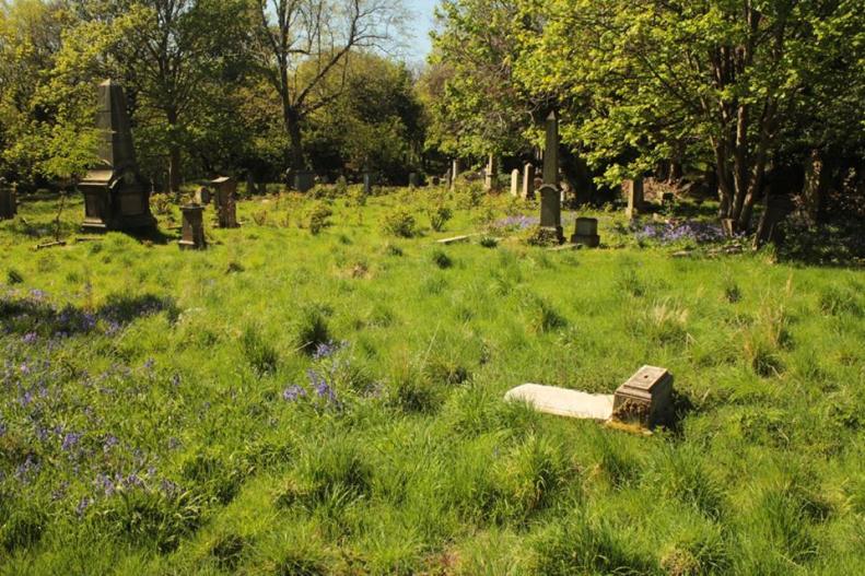 18268446_10154852086388025_1024985215028962065_n