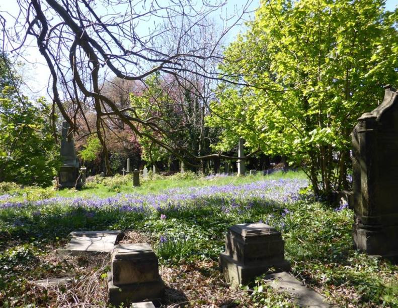 18300870_1515769001776189_7657847912762325941_n