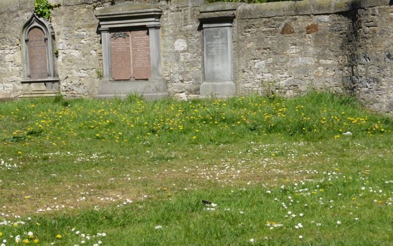 18300965_1515768315109591_2140871386978960044_n