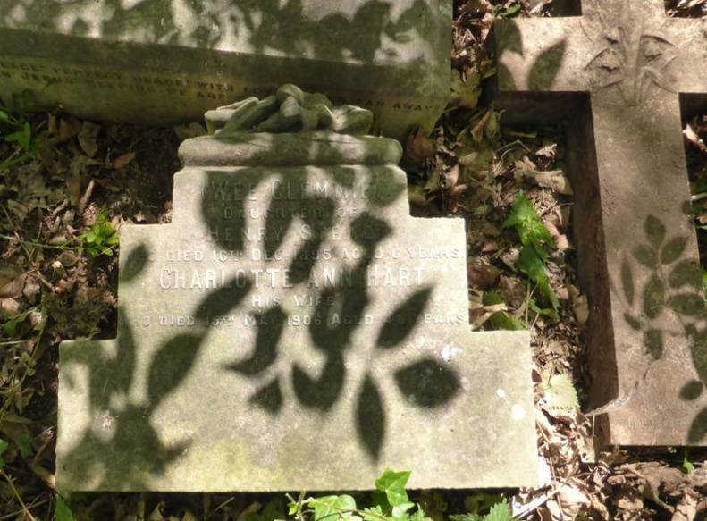 18301054_1515766585109764_3080332612196080953_n