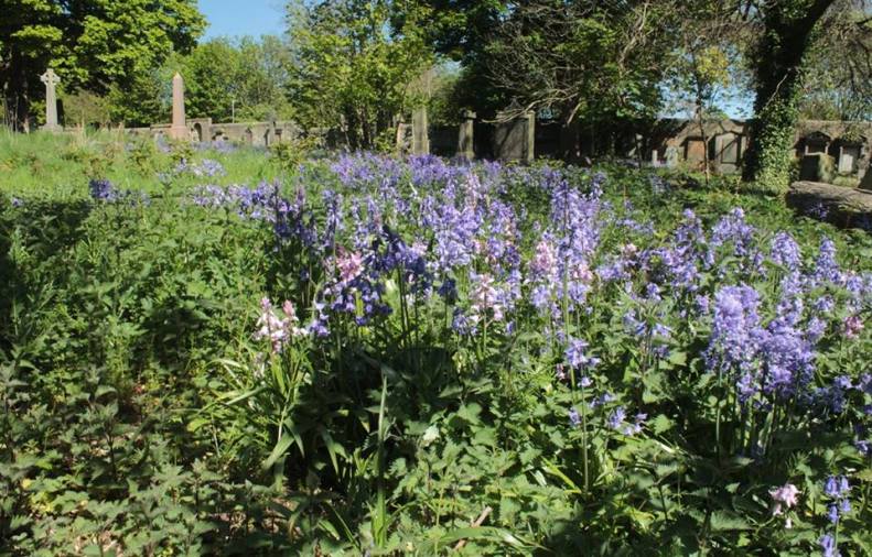 18301102_10154852086383025_5129184565822629581_n