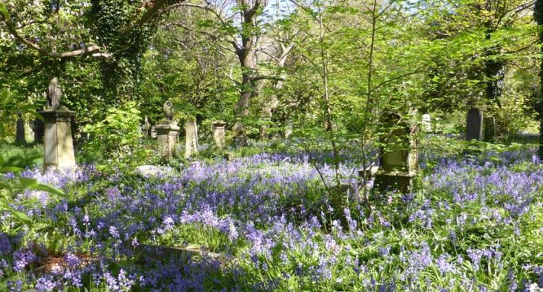 18301704_1515764891776600_6462045680966163329_n