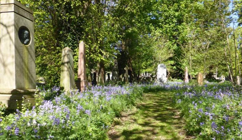 18342351_1515764608443295_8068250241694551411_n