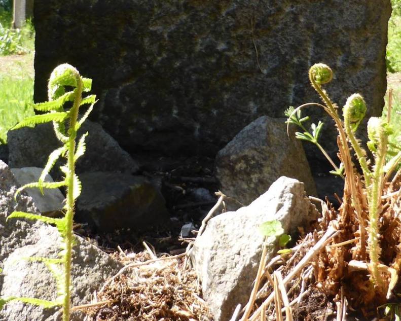 18342384_1515767358443020_5359560653855690162_n