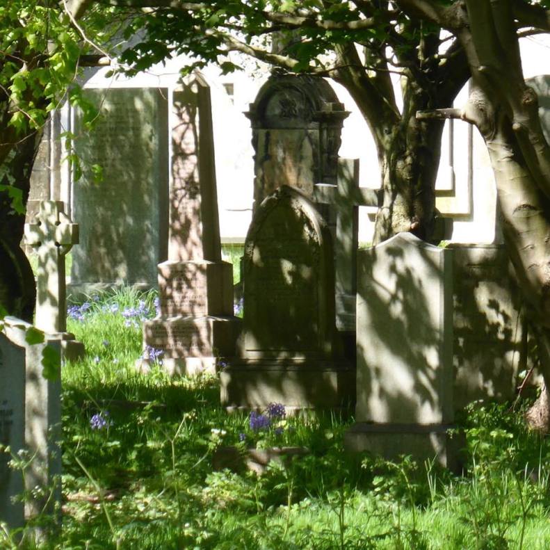 18342668_1515767591776330_2716899607575828685_n