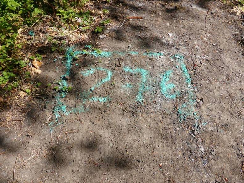 18342807_1519261538093602_7275452004362943734_n