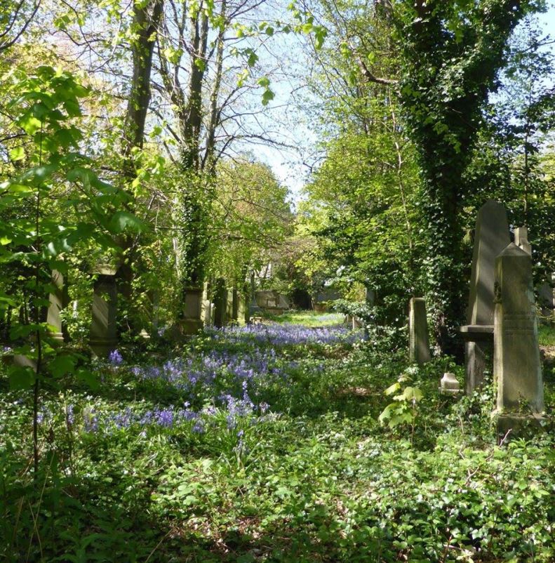 18359304_1515766841776405_4633638233144276696_o