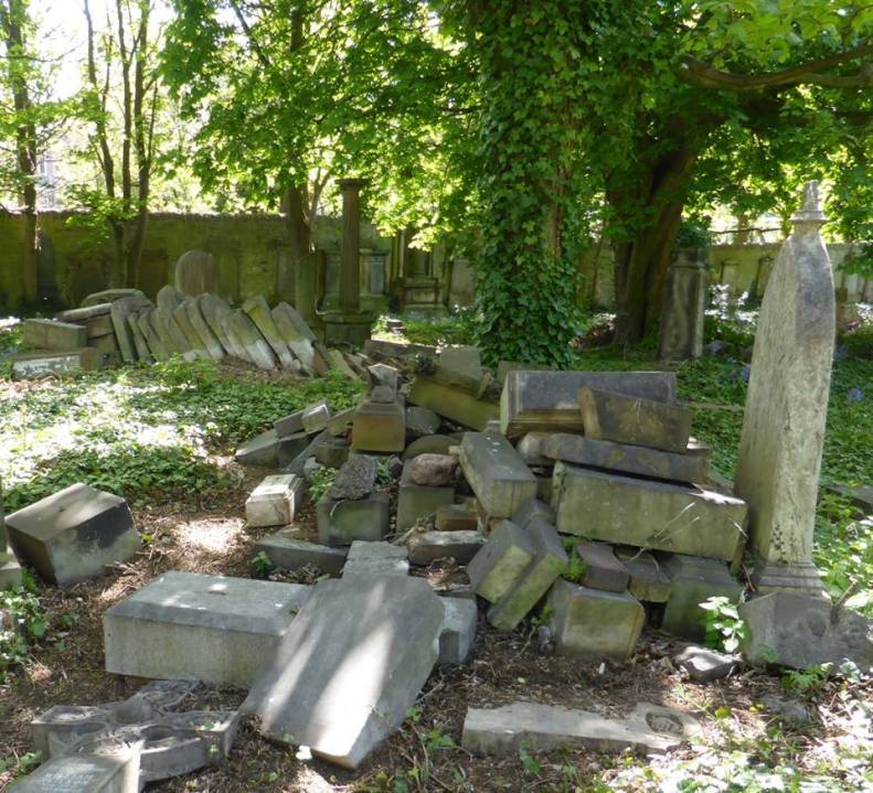 18402604_1519261831426906_1754444556685144463_n