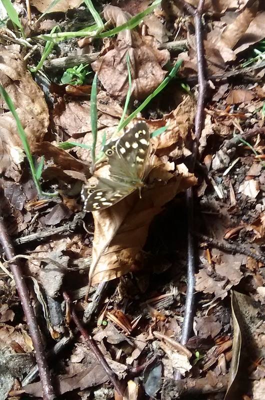 19225876_10154995191248025_5511971763340142810_n