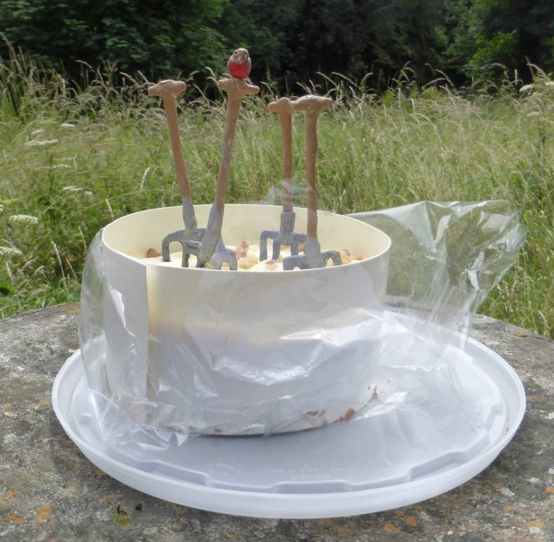 19787407_1588570951162660_4618114734908598774_o