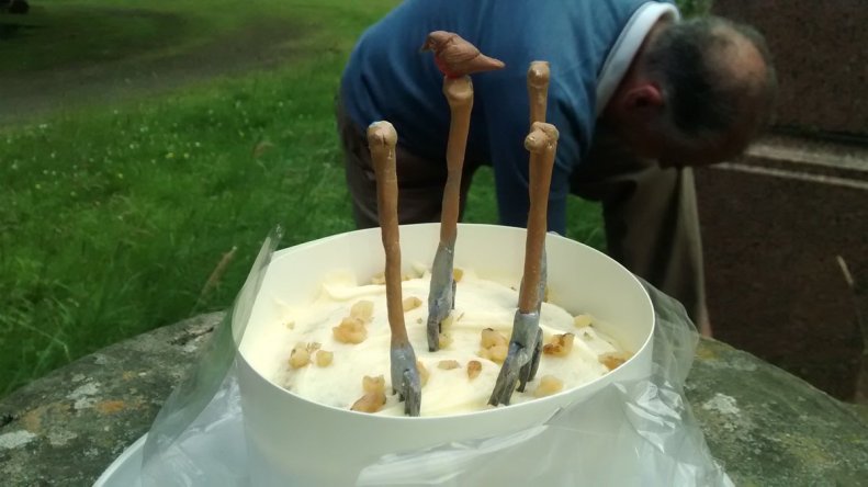 IMG_20170708_110444445