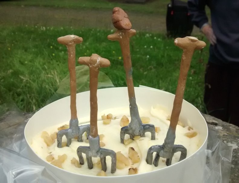 IMG_20170708_110511404