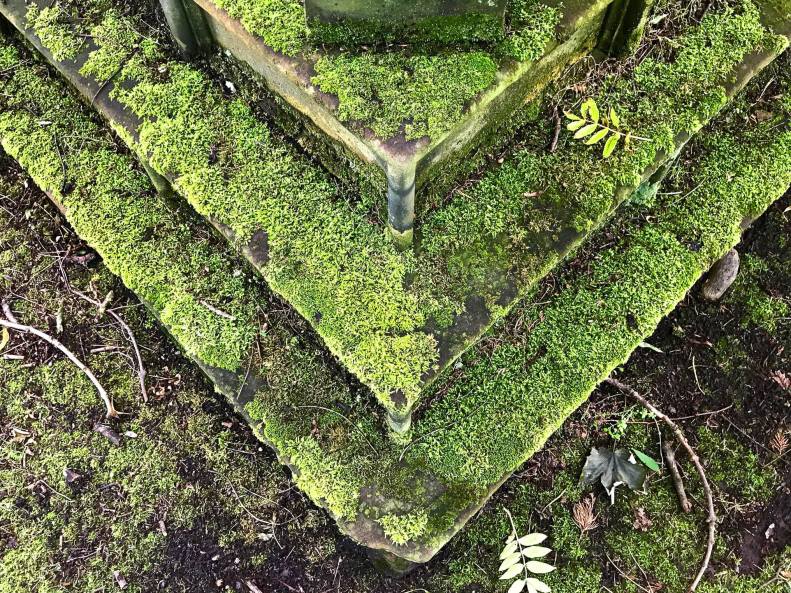 19983869_10212289439925172_594480702690565204_o