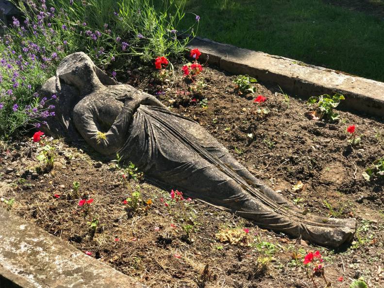 20121271_10212312830229915_418938709498825862_o