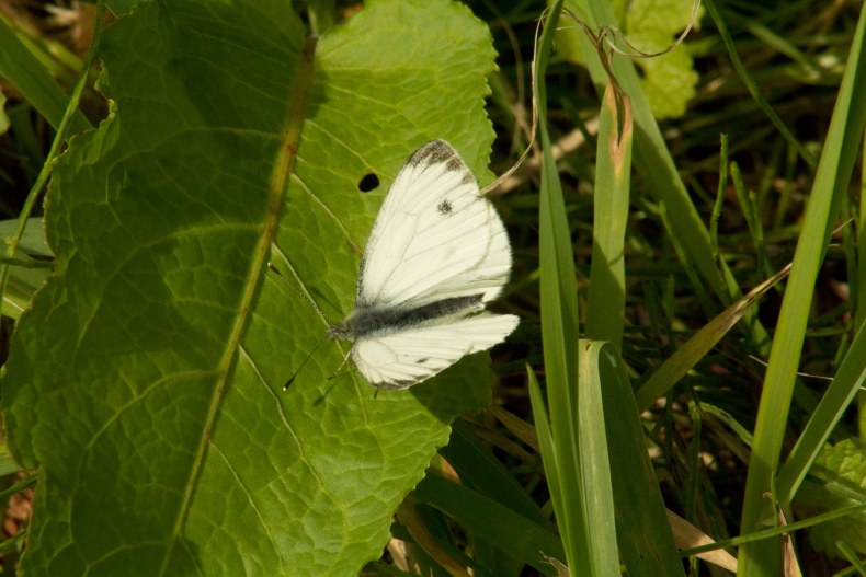 20617174_10155158343423025_6347563569291347309_o