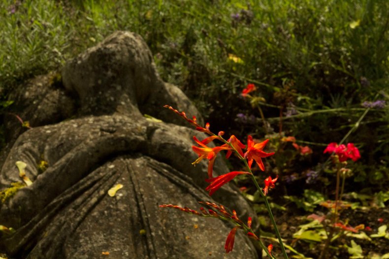 20626389_10155158352598025_4161782367128906808_o