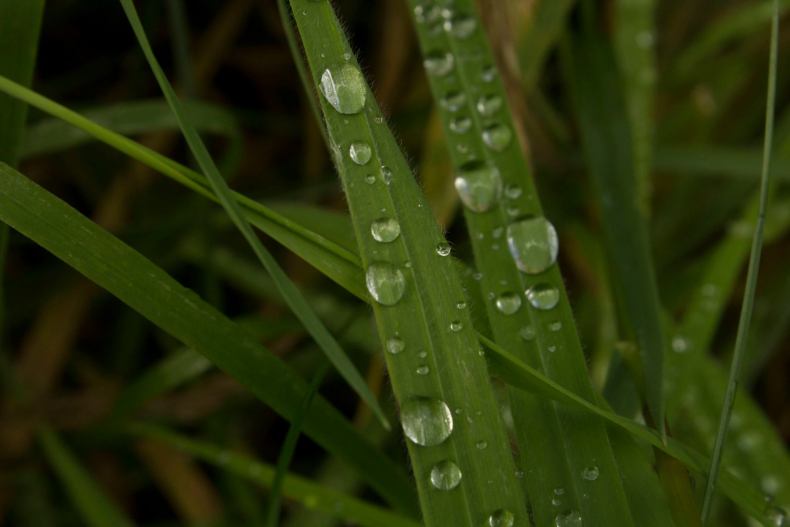 20626990_10155158353133025_9019582522301778535_o