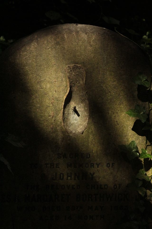 20638170_10155161373048025_8327570061052213550_n