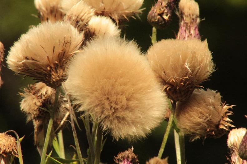 20689710_10155166520208025_6229609178337267198_o