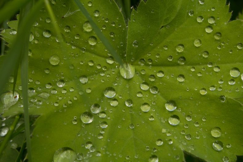 20689721_10155158353203025_7620145480355763128_o