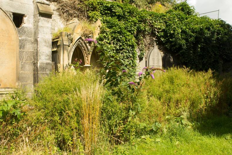 20690381_10155158352638025_3448118935149011630_o