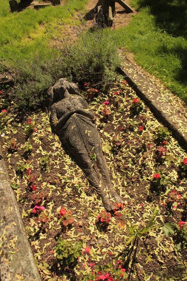 20708224_10155161372818025_9116515800810666245_n