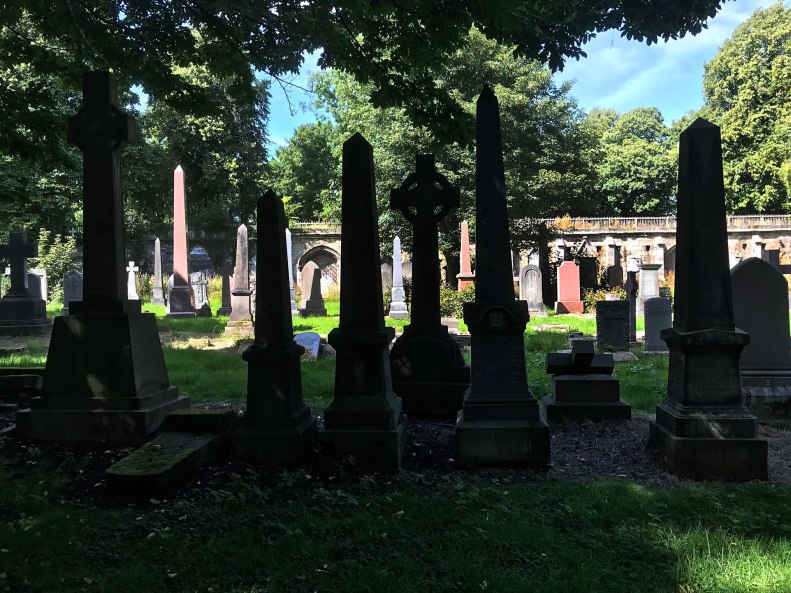 20728714_10212572757127925_8244487967634974036_o