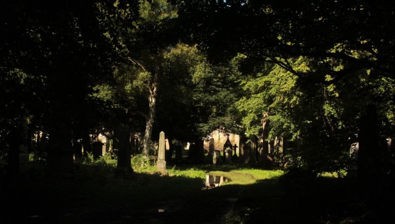 20819469_10155184802323025_7223644508280119806_o