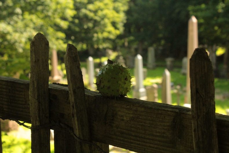 20861669_10155184802328025_5057882091071688439_o