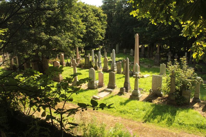 20863391_10155184802388025_8559259159122174250_o