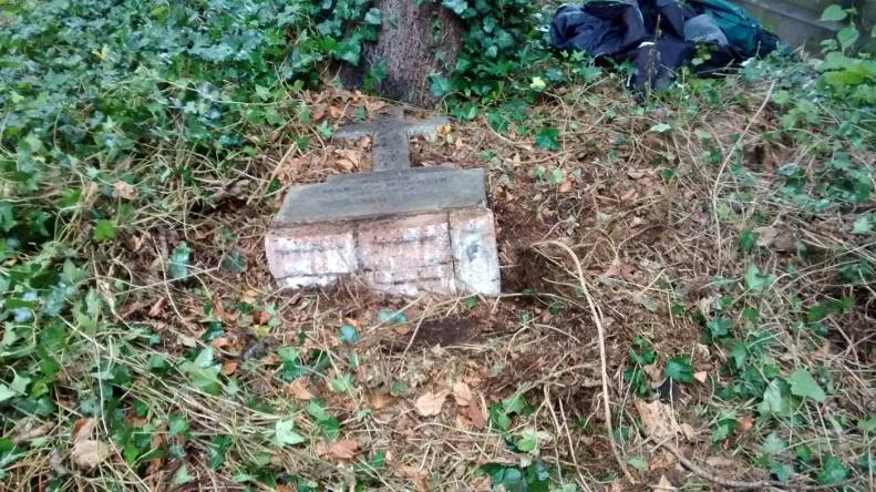 21083327_10155210846263025_1975418581091209242_o