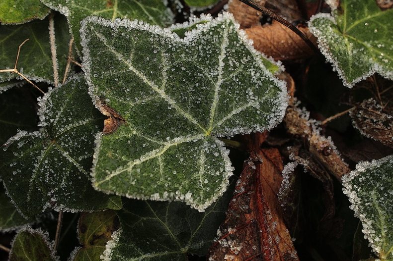 25188774_10155487202288025_5401883060108562657_o