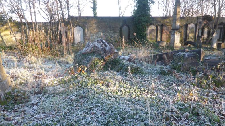 26024148_1803211663031920_4474436006939229544_o